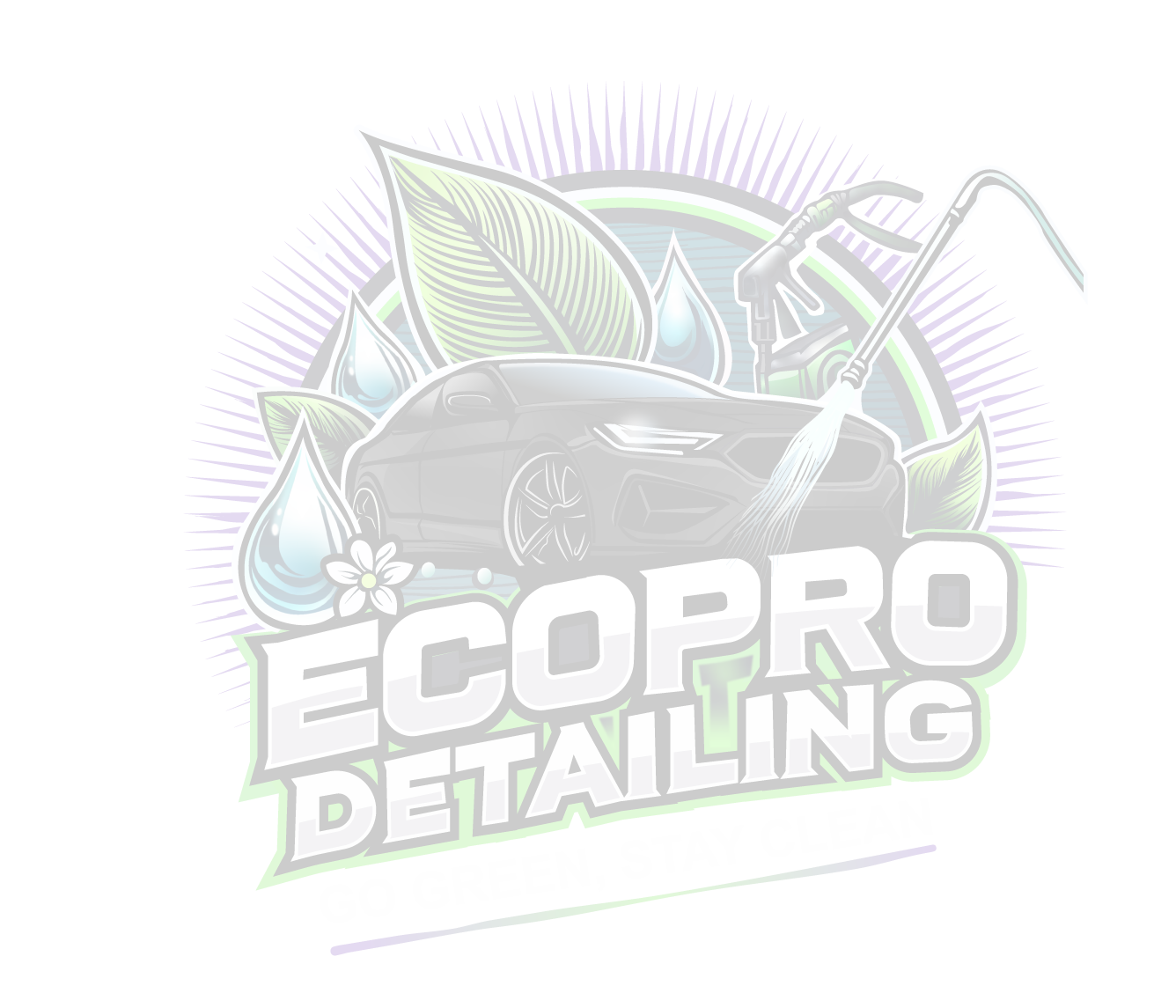 EcoPro Detailing logo
